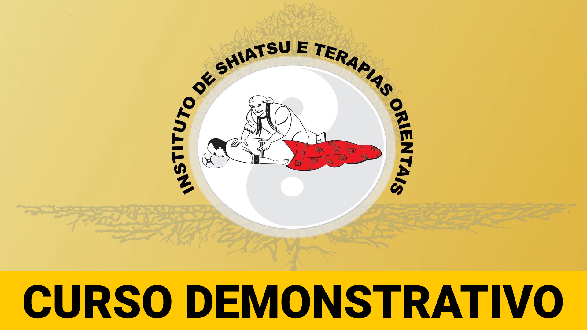 Curso sobre Meridianos e Funções • Instituto de Shiatsu